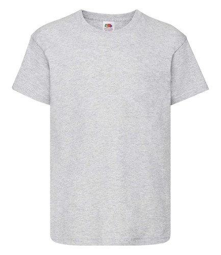 Fruit the loom shirt - the,