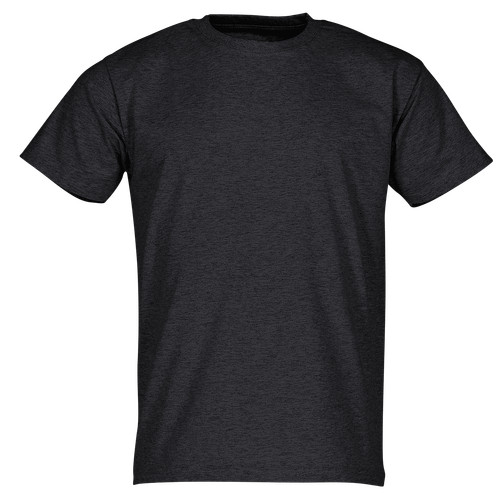 Fruit the loom shirt - the,